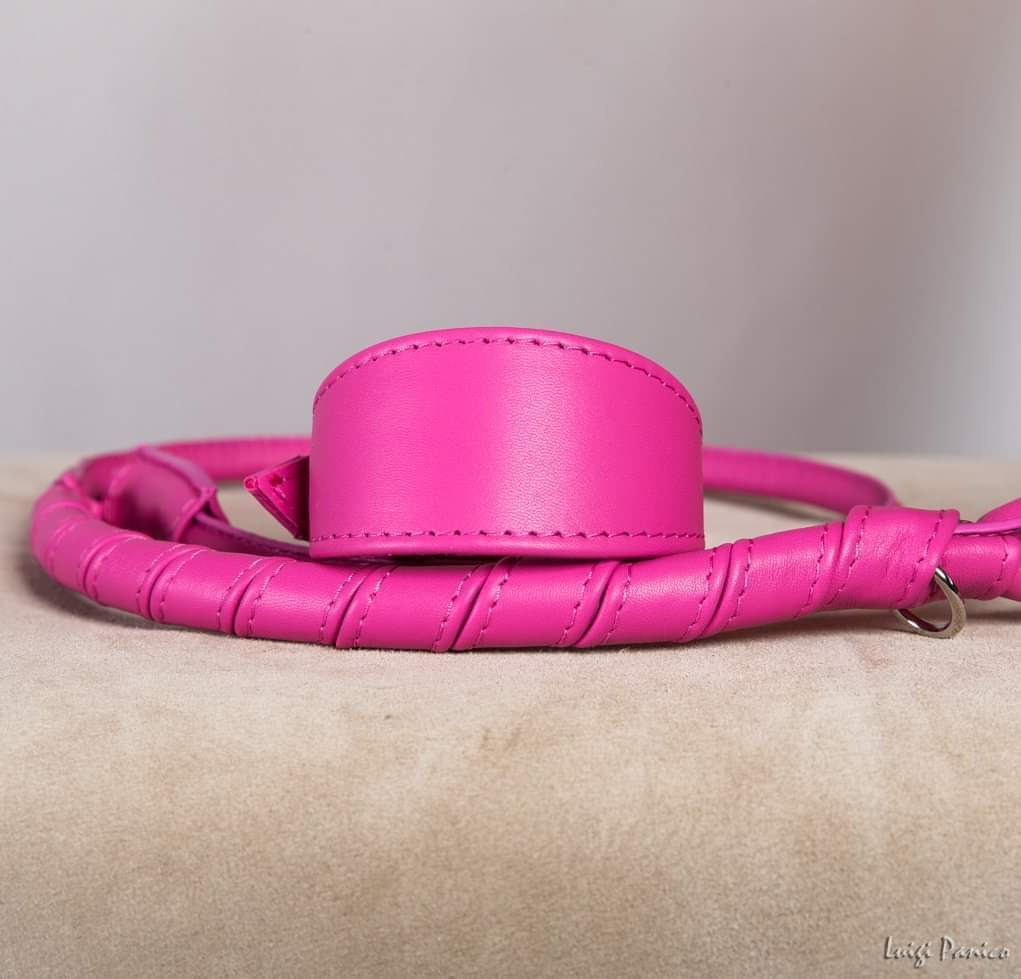 Sighthound collars and Accessories